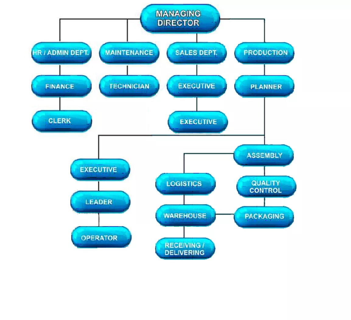 Organization Chart